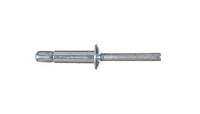 Ornilock Steel Protruding Head Rivet 9.8mm x 21.0mm