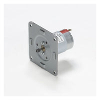 DMN29 6DG Series High Performance DC Brush Motors