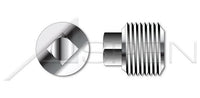 AISI 304 Stainless Steel (18-8) Square Head Drive Pipe Plug