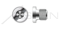 A2 Stainless Steel Straight Thread Hex Socket Drive Pipe Plug