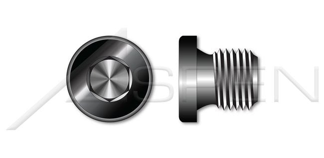 Plain Steel Straight Thread Hex Socket Drive Pipe Plug - Image 1