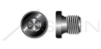 Plain Steel Straight Thread Hex Socket Drive Pipe Plug