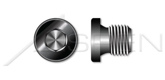 Plain Steel Straight Thread Hex Socket Drive Pipe Plug - Image 1