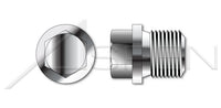 A2 Stainless Steel Straight Thread External Hex Head Drive Pipe Plug