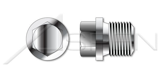 A2 Stainless Steel Straight Thread External Hex Head Drive Pipe Plug - Image 1