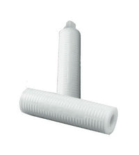 Memtrex™ MP Pleated Filters with Polyethersulfone Membrane