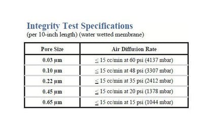 Sterilizing Grade PPS Polyethersulfone Cartridges - Image 3