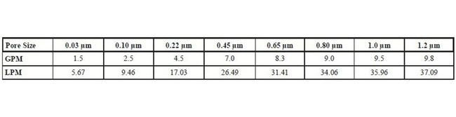 Cost-Effective GPS Grade Polyethersulfone Filter Cartridges - Image 2