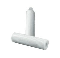 Memtrex™ FE Pleated Filters with PTFE Membrane