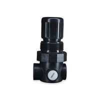 Acetal Stainless Steel 40 psi Pressure Regulator