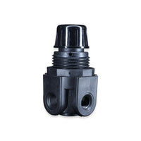 RAAW Series Mini Air Pressure Regulator