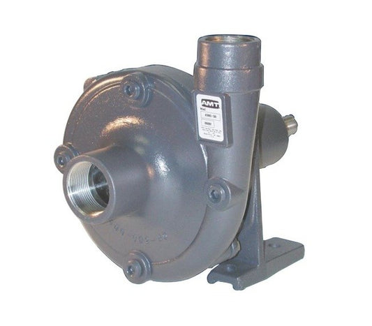 AMT Straight Centrifugal Pedestal Pump - Image 1