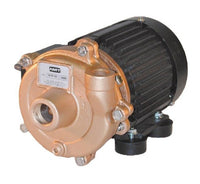 AMT 4861-97 Bronze Marine Centrifugal Pump, 12V DC
