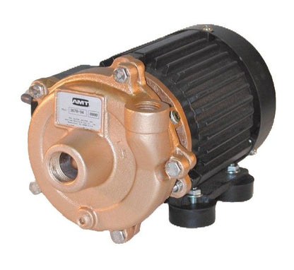 AMT 4861-97 Bronze Marine Centrifugal Pump, 12V DC - Image 1