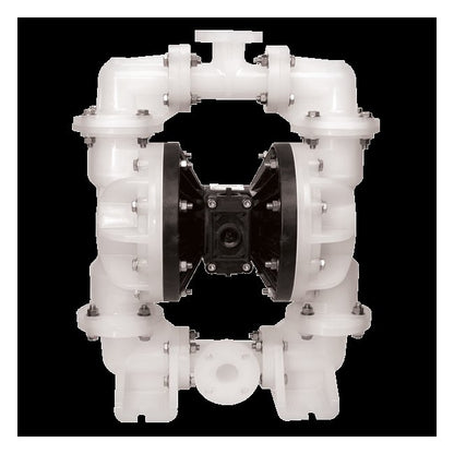 S20 Non-Metallic Ball Valve Diaphragm Pump - Air Powered, Standard Duty - Image 1