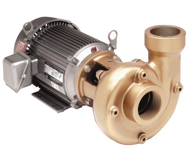 AMT Heavy Duty Straight Centrifugal Pump 4261-98 - Image 1