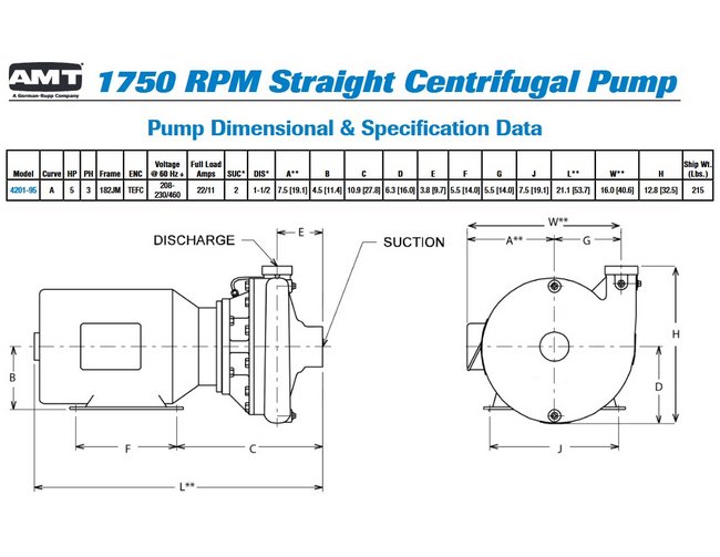 5 HP TEFC Straight Centrifugal Pump - Cast Iron Construction - Image 4