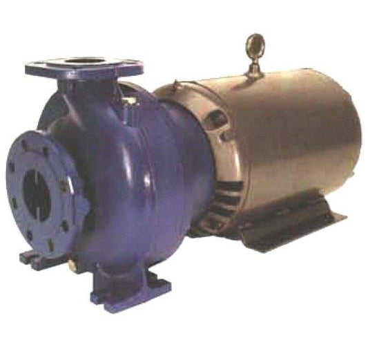 Goulds Cast Iron End Suction Pump - SFH Series - Image 1