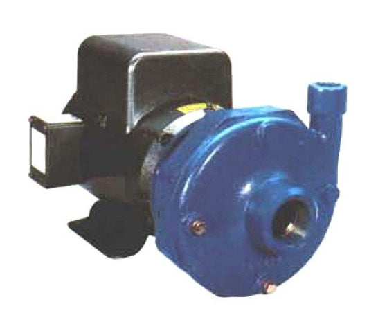 Goulds Suction Pump - Cast Iron End Suction Pump - Image 1