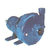 Goulds Cast Iron End Suction Pump - Enclosed Impeller