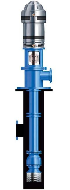 Goulds Submersible Pump with Suction Inlet in Can - Image 1