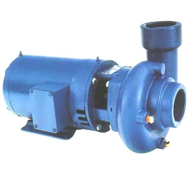 Goulds Cast Iron End Suction Pump - Image 1