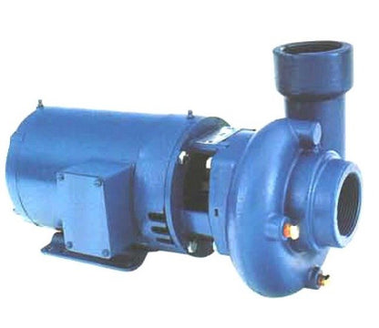 Goulds Cast Iron End Suction Pump - Image 1