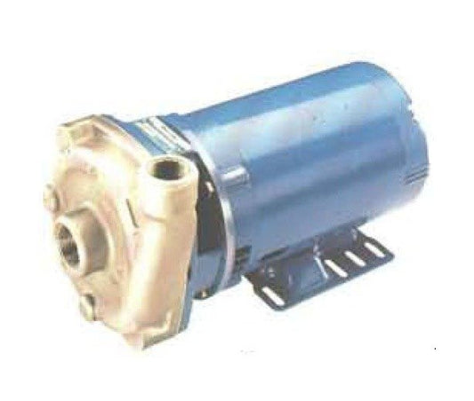Goulds Stainless Steel Centrifugal Pump - Image 1