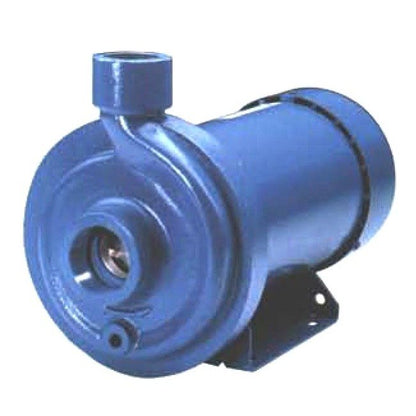 Goulds Cast Iron End Suction Pump - Image 1