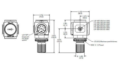 2000 Series Regulator with Relieving Standard Knob Control - Image 2
