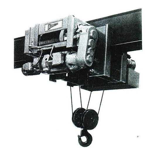 Reliable Type 'RPM' Monorail Hoists - 1 to 30 Ton Capacity - Image 1
