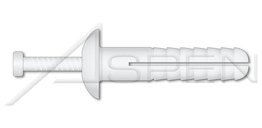 Mushroom Head White Nylon Body/Pin Drive Pin Rivet - Image 1