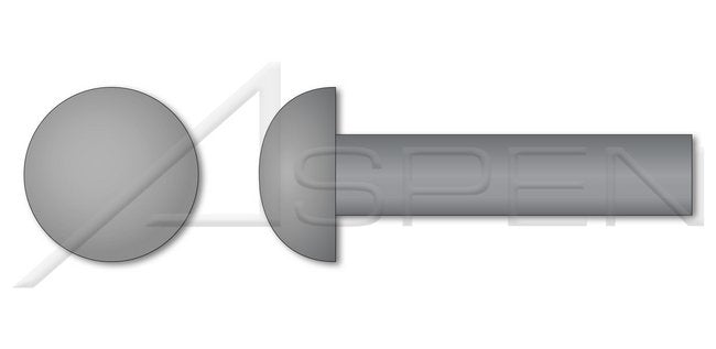 Steel Round Head Solid Rivet - Image 1
