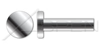 AISI 304 Stainless Steel (18-8) Flat Head Solid Rivet