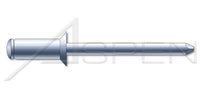 Countersunk External Head Steel Body/Steel Pin Blind Rivet