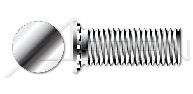 AISI 303 Stainless Steel (18-8) Full Thread Flush Head Self-Clinching Studs - Image 1