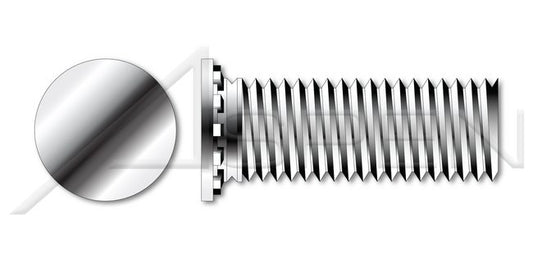 AISI 303 Stainless Steel (18-8) Full Thread Flush Head Self-Clinching Studs - Image 1