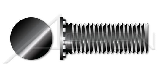 Steel Black Oxide Full Thread Flush Head Self-Clinching Studs - Image 1
