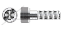 Holo-Krome® A2 Stainless Steel Hex Socket Head Cap Screw