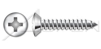 Steel Zinc Plated Type "B" Hex Indented Washer Phillips® Drive Self-Tapping Sheet Metal Screw