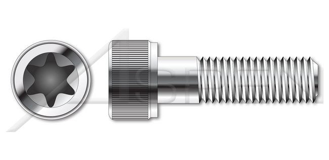 A2 Stainless Steel 6Lobe Torx® Socket Cap Screw - Image 1