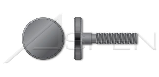 DIN 653 Metric Steel Knurled Flat Head Low Type Thumb Screw - Image 1