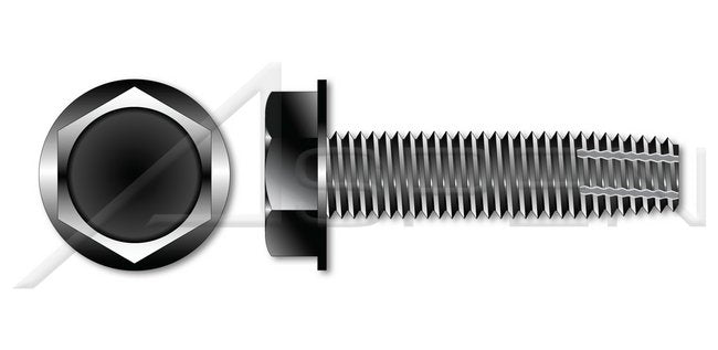 Steel Black Oxide Type "F" Hex Indented Washer Head Thread Cutting Screw - Image 1
