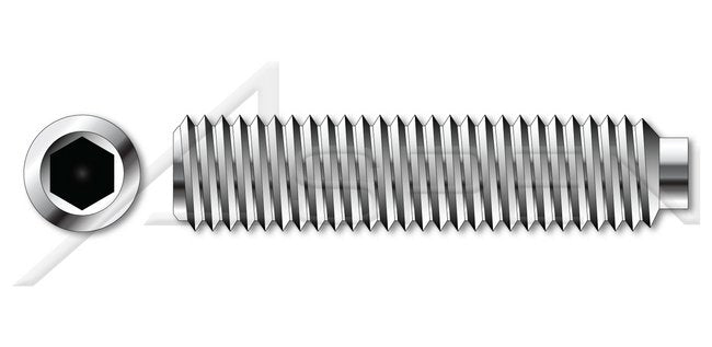AISI 304 Stainless Steel (18-8) Half-Dog Point Full Thread Hex Socket Set Screw - Image 1