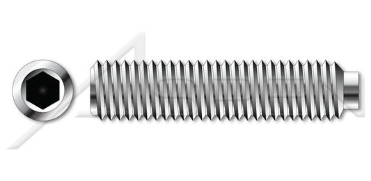 AISI 304 Stainless Steel (18-8) Half-Dog Point Full Thread Hex Socket Set Screw - Image 1
