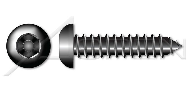 Steel Black Zinc Type "AB" Pan 6Lobe Torx® Drive Self-Tapping Sheet Metal Screw - Image 1