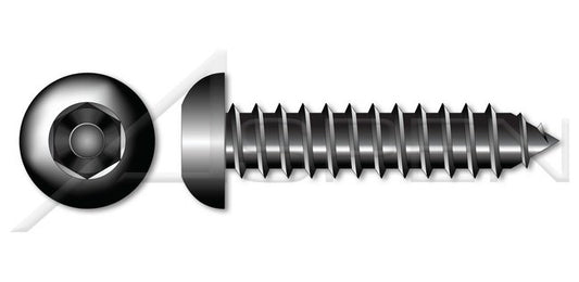 Steel Black Zinc Type "AB" Pan 6Lobe Torx® Drive Self-Tapping Sheet Metal Screw - Image 1