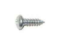 Phillips Pan Tapping Stainless Steel Screw, 10 x 2 inch