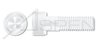 Nylon 6/6 Hex Socket Head Cap Screw