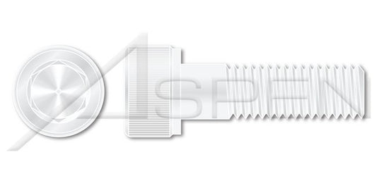 Nylon 6/6 Hex Socket Head Cap Screw - Image 1